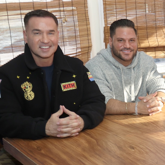 Michael The Situation Sorrentino, Ronnie Ortiz-Magro